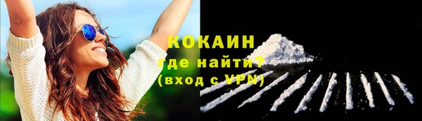 ALPHA PVP Бородино