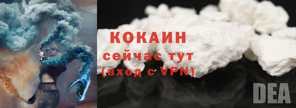 молекула духа Бронницы
