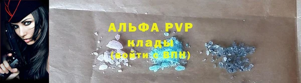 молекула духа Бронницы