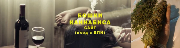 молекула духа Бронницы