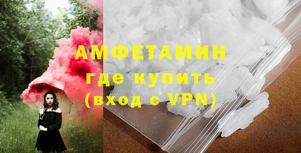 молекула духа Бронницы