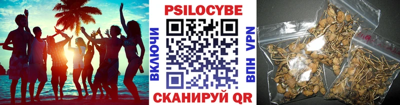 Галлюциногенные грибы GOLDEN TEACHER Новоуральск